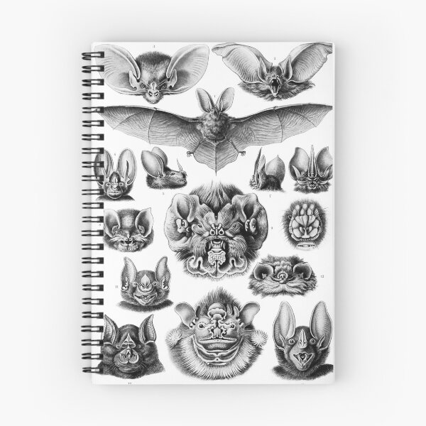 Item preview, Art Forms in Nature - Amazing HD vintage design number 22 designed and sold by MINDTHECHERRY.