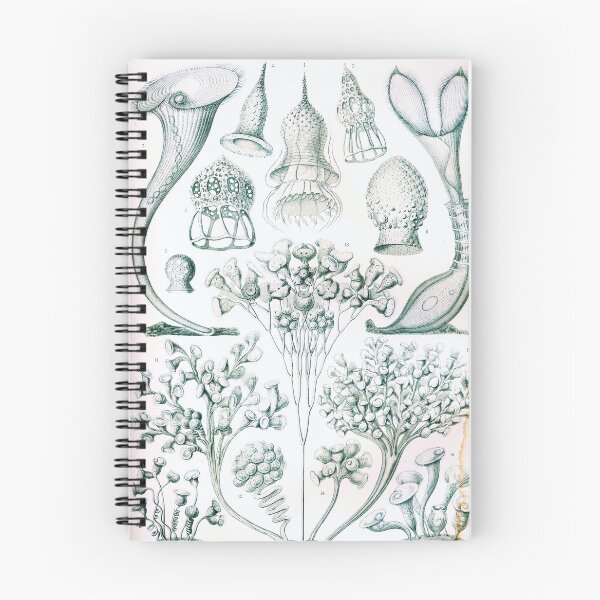 Item preview, Art Forms in Nature - Amazing HD vintage design number 23 designed and sold by MINDTHECHERRY.
