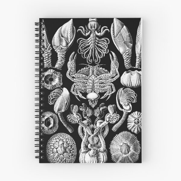 Item preview, Art Forms in Nature - Amazing HD vintage design number 24 designed and sold by MINDTHECHERRY.