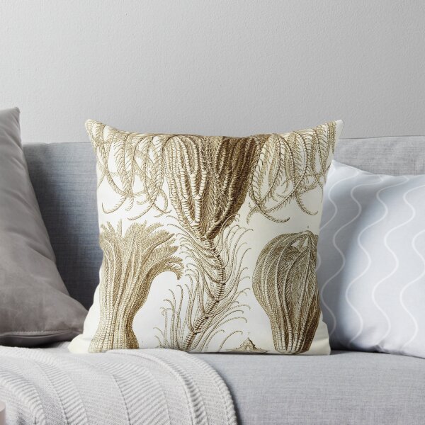 Item preview, Art Forms in Nature - Amazing HD vintage design number 26 designed and sold by MINDTHECHERRY.