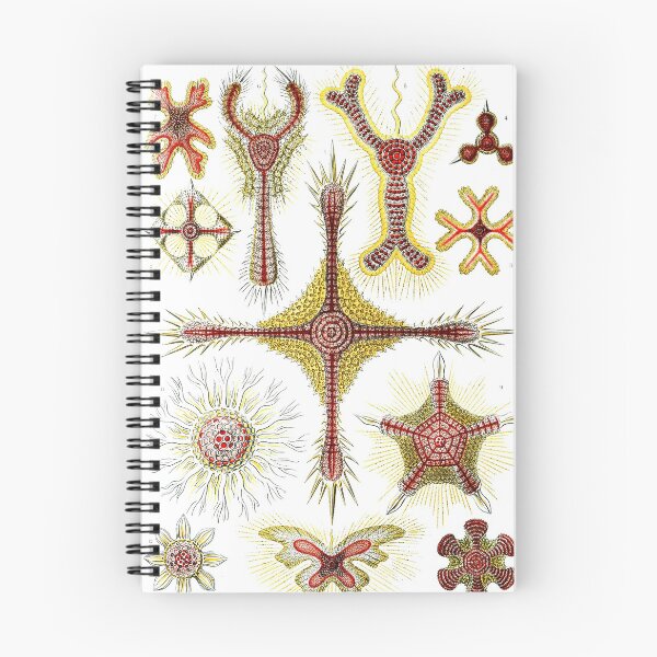 Item preview, Art Forms in Nature - Amazing HD vintage design number 37 designed and sold by MINDTHECHERRY.