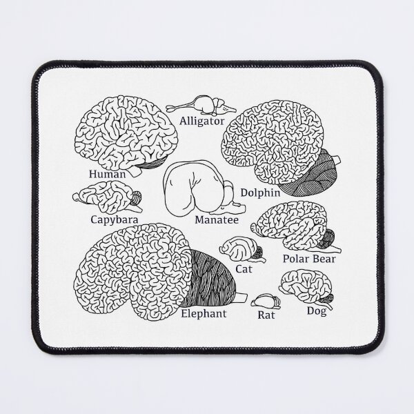 Item preview, Types Of Brains - Neuroscience  designed and sold by BundaBear.