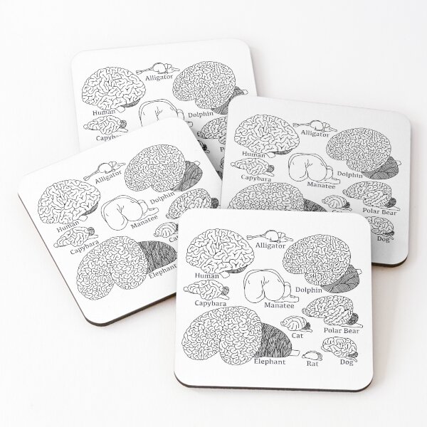 Item preview, Types Of Brains - Neuroscience  designed and sold by BundaBear.