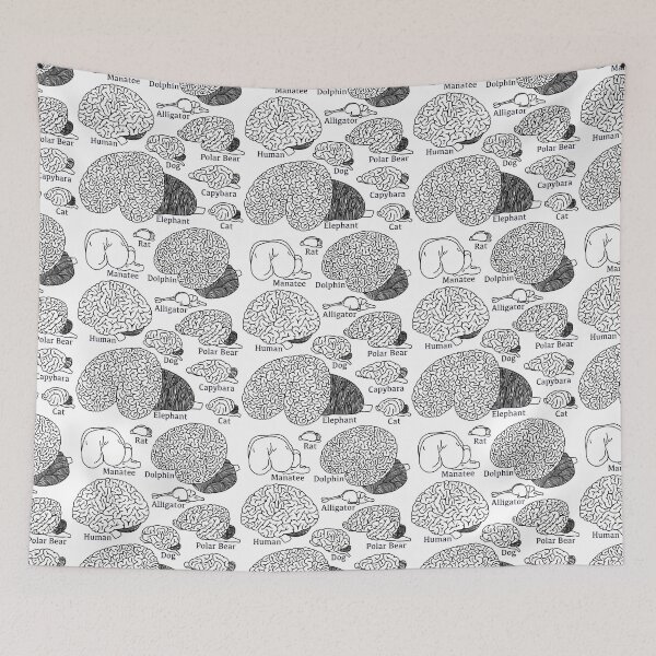 Item preview, Types Of Brains - Neuroscience  designed and sold by BundaBear.