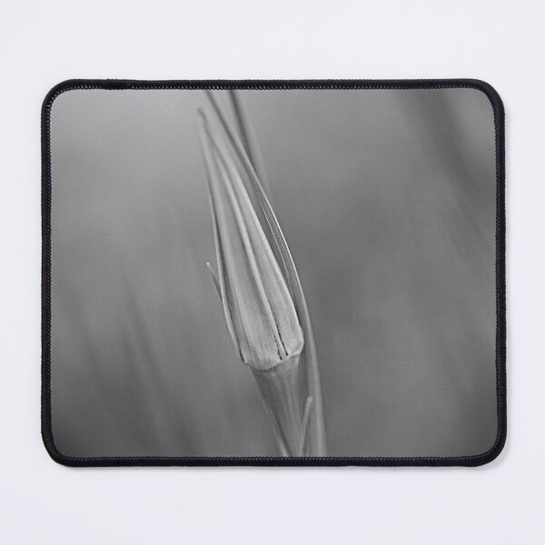 Item preview, The Moody Bud designed and sold by Joy Watson - Natural Light Photography .