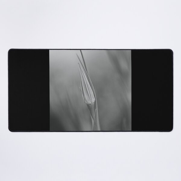 Item preview, The Moody Bud designed and sold by Joy Watson - Natural Light Photography .