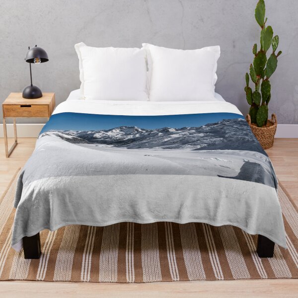 Item preview, Aoraki/Mt Cook from Tasman Glacier designed and sold by Charles Kosina.