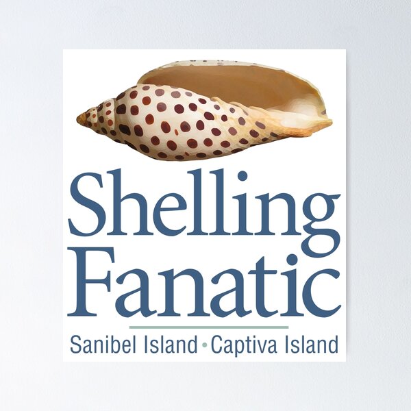 Sanibel, Captiva Island Florida Shell Identification Guide | Art Board Print