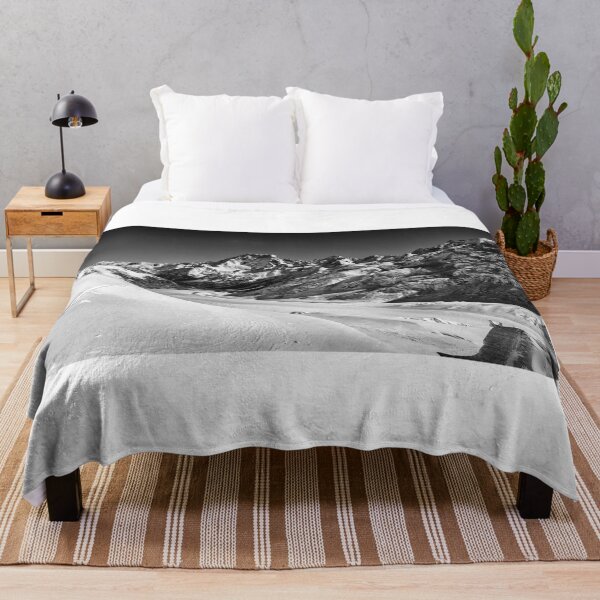Item preview, Aoraki/Mt Cook from Tasman Glacier designed and sold by Charles Kosina.