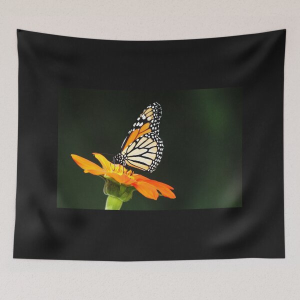 Item preview, Monarch On Tithonia designed and sold by Debbie Oppermann.