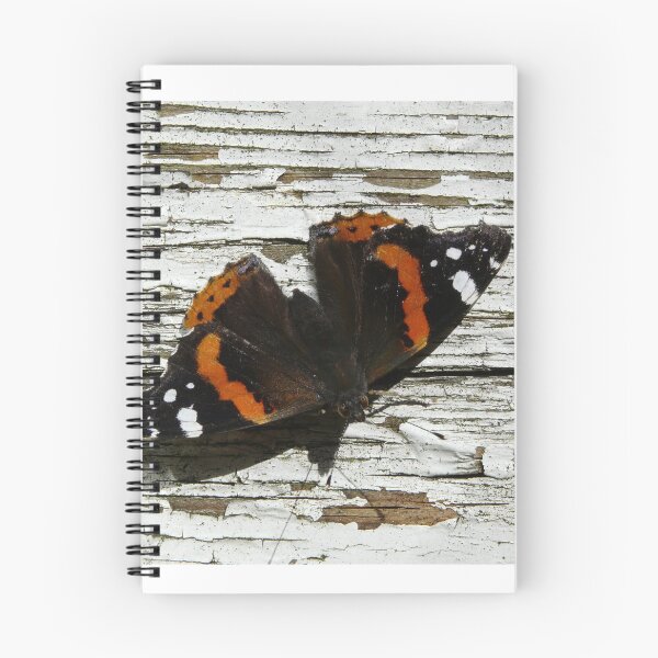 Item preview, Weathered designed and sold by Sharon Hayward.