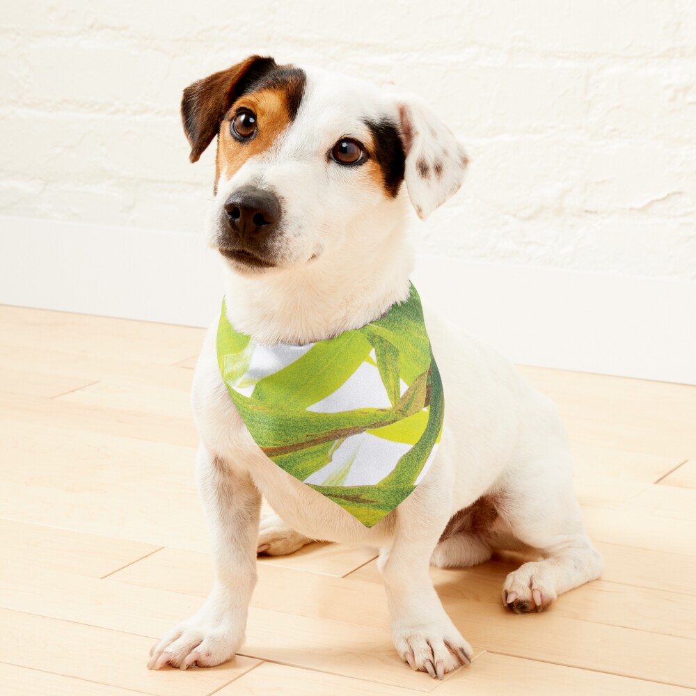 Item preview, Pet Bandana designed and sold by GeeeDeeeBeee.