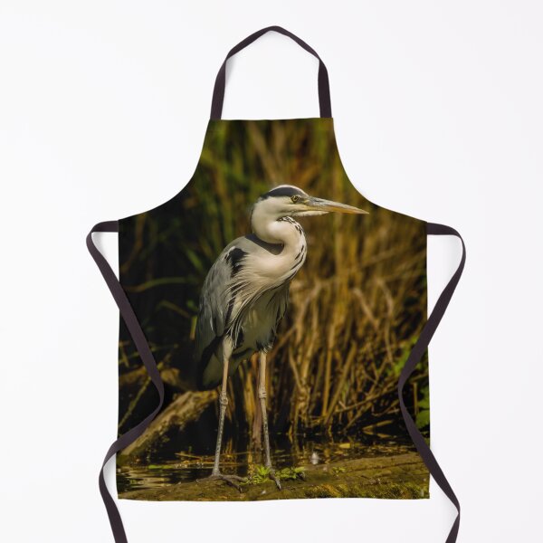 Item preview, Gray heron designed and sold by Guardi71.