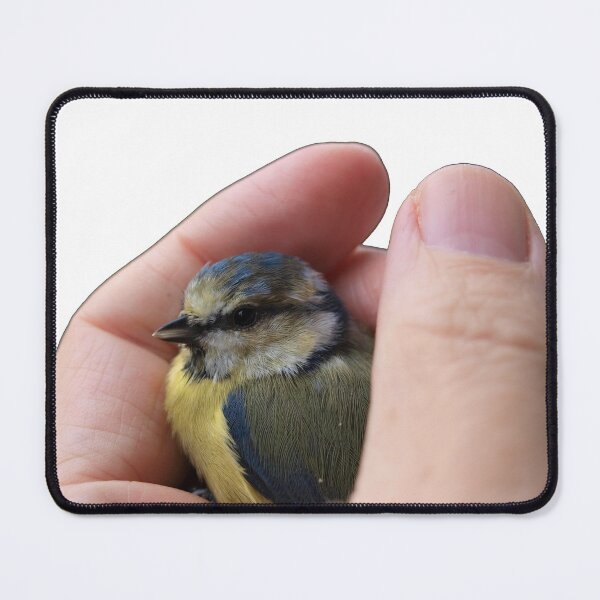 Item preview, Eurasian Blue Tit in a Hand, A Chickadee, A Blue Tit Bird, Tweeti Birds in Summer  designed and sold by DiensDesign.