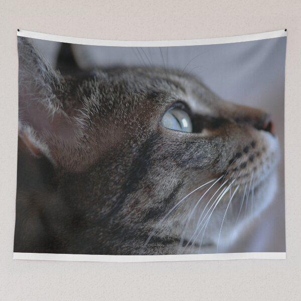 Item preview, Feline beauty in profile designed and sold by Nerone.