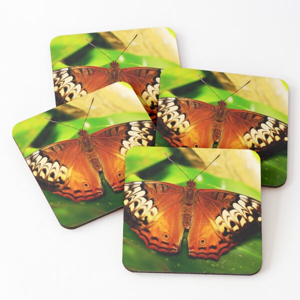 Item preview, Cruiser Butterfly, Vindula arsine, no.2 designed and sold by Geoff Treagus.