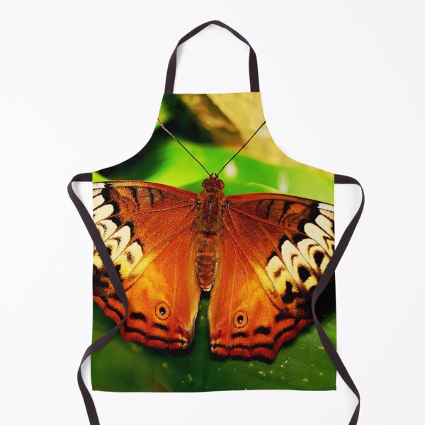 Item preview, Cruiser Butterfly, Vindula arsine, no.2 designed and sold by Geoff Treagus.