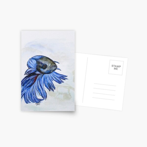 Ben Blue Betta Fish Postcard
