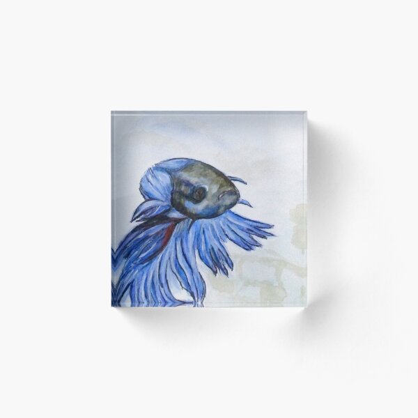 Ben Blue Betta Fish Acrylic Block