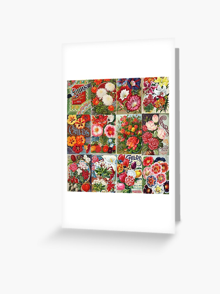 Vintage Flower Seed Packets Collage Greeting Card for Sale by Peggy Collins