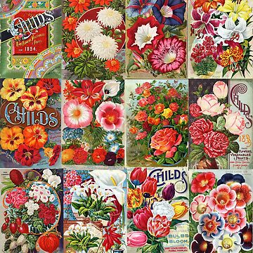 Vintage Flower Seed Packet Illustrations 1 Mosaic Art Board Print for Sale  by Peggy Collins