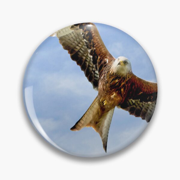 Item preview, Soaring Red Kite designed and sold by Martyn R Arnold Fine Art Nature & Landscape Photography.