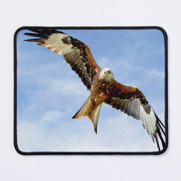 Item preview, Soaring Red Kite designed and sold by Martyn R Arnold Fine Art Nature & Landscape Photography.