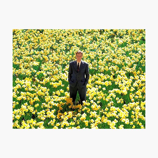Big Fish- Daffodils Photographic Print