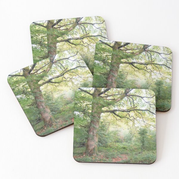 Item preview, INT OF AUTUMN designed and sold by Andrew Hocking.