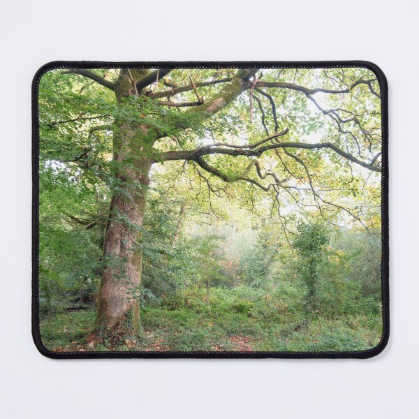 Item preview, INT OF AUTUMN designed and sold by Andrew Hocking.