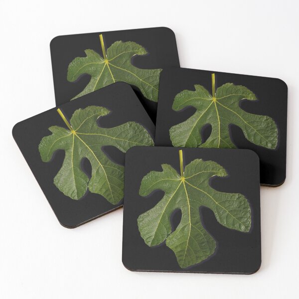 Item preview, Fig leaf on black background designed and sold by janesg.