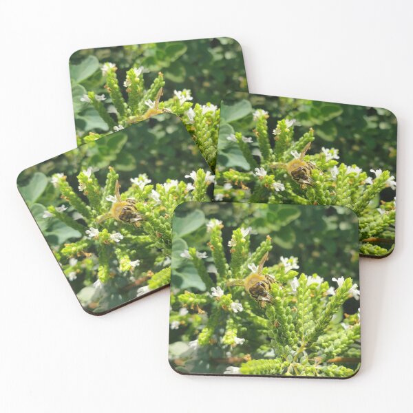 Item preview, The last honey bees of Summer designed and sold by OnigiriSuiko.