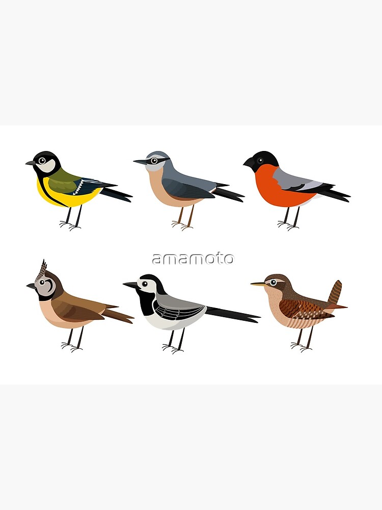 Bird Oriole Set Cartoon Vector Illustration Stock Vector