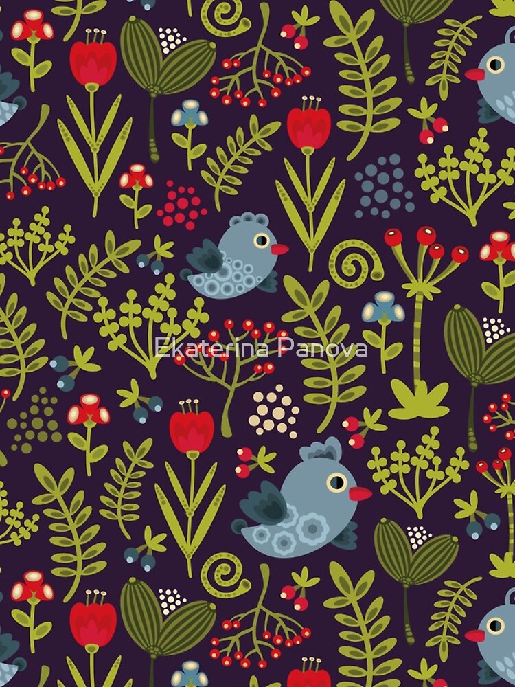 Folk birds by panova