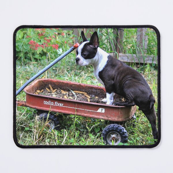 Item preview, "Climbing Aboard The Garden Express" designed and sold by wiscbackroadz.