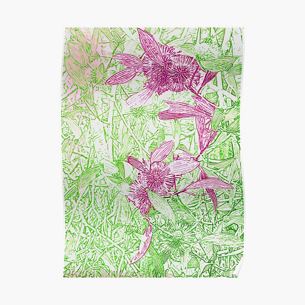 Hakea, Pink and Green Poster