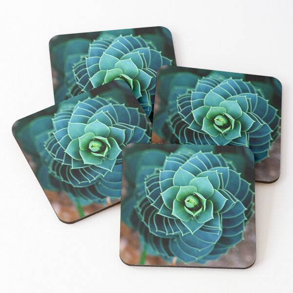 Item preview, Not an Ordinary Life designed and sold by MortonDesigns.