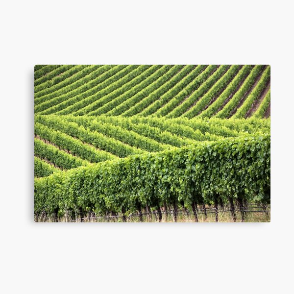 Item preview, Grapevines, Adelaide Hills designed and sold by LeighBlake.