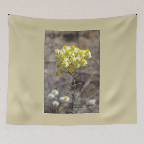Item preview, waitzia nitida designed and sold by lezvee.