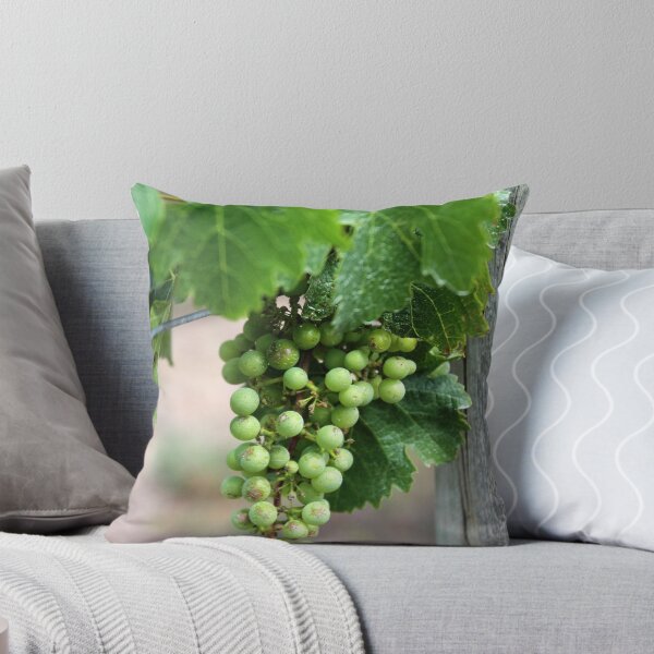 Aperçu de l'œuvre Grapevines, Adelaide Hills créée et vendue par LeighBlake.