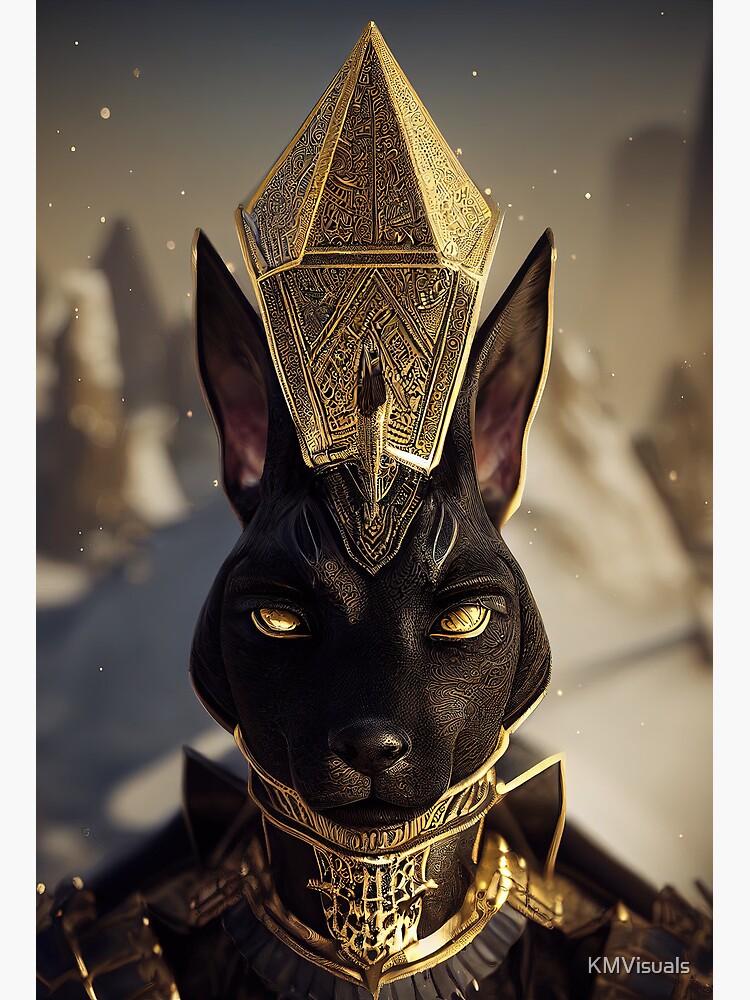  Egyptian God Anubis One Piece Dog Costume Pet Suit