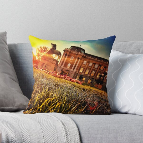 Wake Up Positive Today. Join the Happiness Movement Throw Pillow