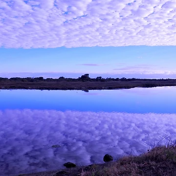 Artwork thumbnail, DAWN REFLECTIONS by Rocksygal52