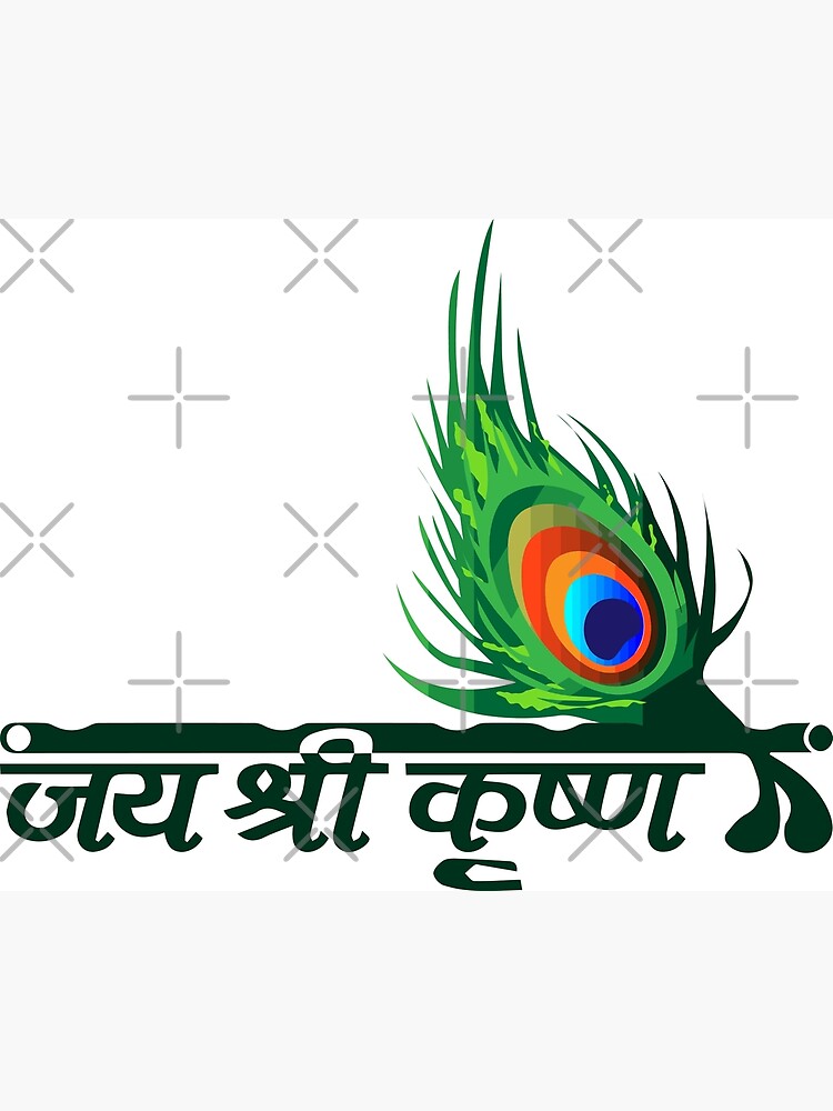 Free Vector | Peacock feather for shree krishna janmashtami card design