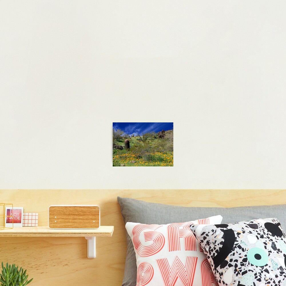 Item preview, Photographic Print designed and sold by scullumber.