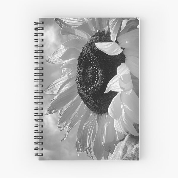 Item preview, Delicate designed and sold by Barry W  King.