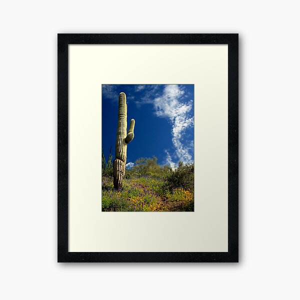 Majestic Saguaro Framed Art Print