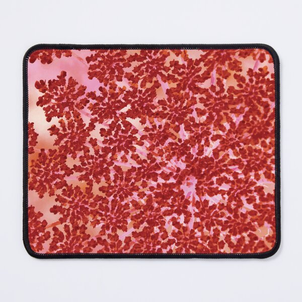 Item preview, The Blushing Heracleum designed and sold by GeeeDeeeBeee.