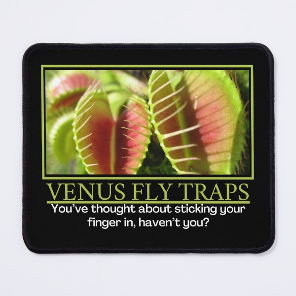 Item preview, Venus Fly Traps- Demotivational Poster designed and sold by DesignsByDaddy.