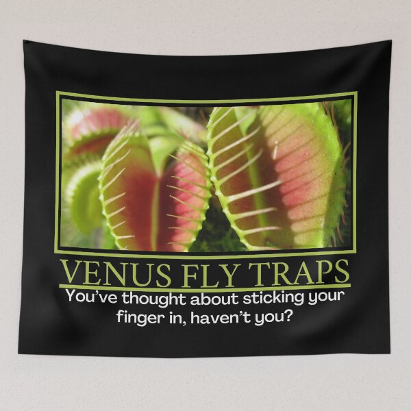 Item preview, Venus Fly Traps- Demotivational Poster designed and sold by DesignsByDaddy.